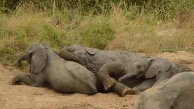 Well this looks like fun