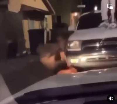 dude fighting off dogs in the hood with a 2x4, effectively hurting two of them while snapping it in half LENGTHWISE over one dogs head.