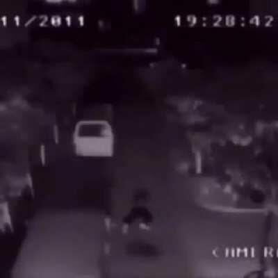 LIBERA A MÃE DO CEBOLA