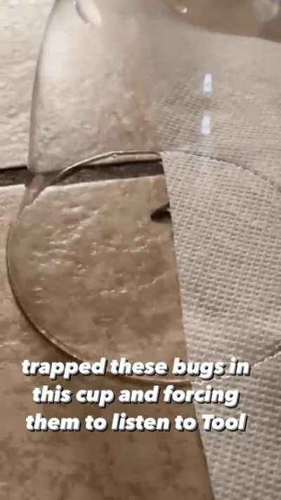 Forcing bugs to listen to Tool