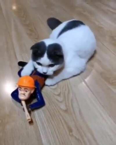 Keep aiming comrade!