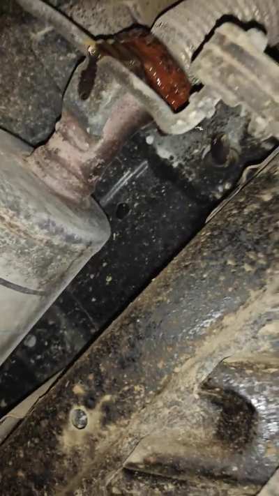 Drove into a pothole now clear liquid leaking from under my car. Please help, long drive tomorrow!