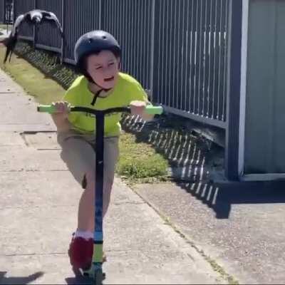 The origin story of a person's fear of birds.