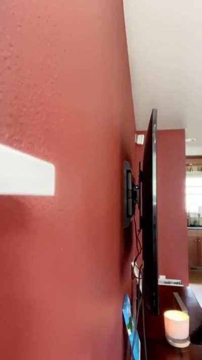 teach me your ways on how to make a cat smarter, my poor bebes didn’t understand 🤣🥺