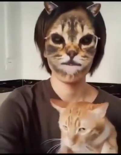 Cats react to filters