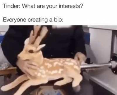 Okay, I meant to say hiking, but who are we kidding?