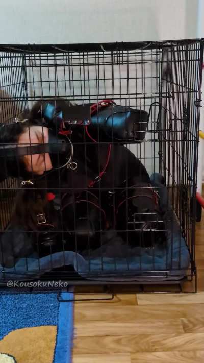 If you think some special shoes can keep me trapped in a cage, you’re very mistaken! Better keep your pets under lock and key 🔐