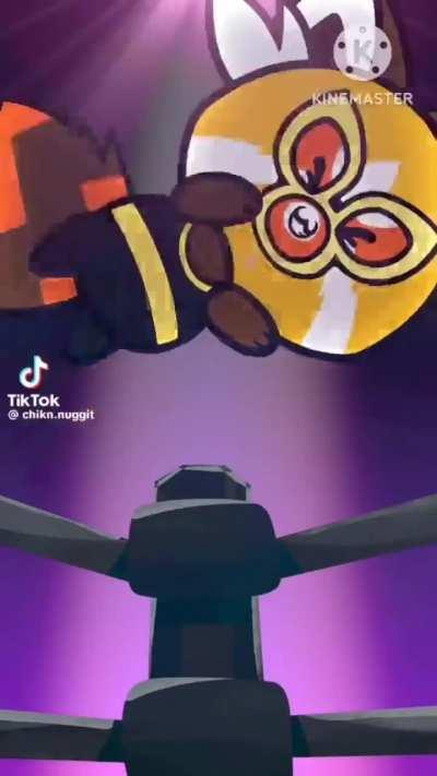 Breaking News: Local red panda kills a 16 year old due to wrestling