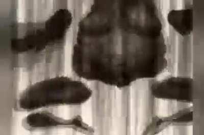 Yes yes yes yes yes yes yes yes