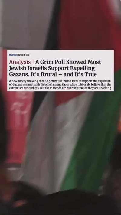 Japanese pro-Palestinian protester confronts Israeli tourists after they flipped him the bird