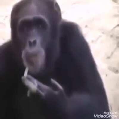 Você não era contra o cigarro MU?QUI?NHA?