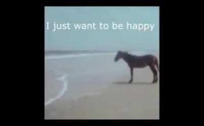 post nut clarity happiness is true happiness