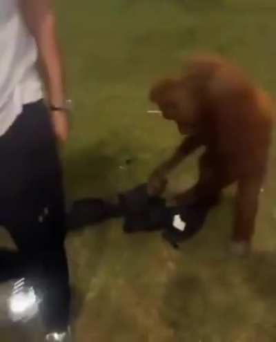 This jacket no longer belongs to you. At least he's polite?!