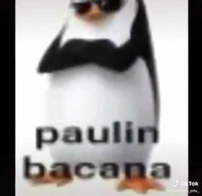 *Teste pra ver se o bot do discord funciono* (é pra ele avisar td vez q algm postar no r/nhaa)