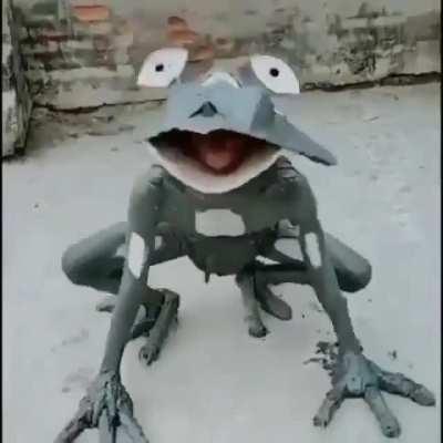 ribbit