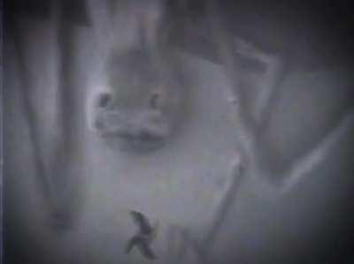 walter ain’t playing anymore