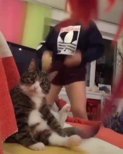 Крайняя степень изумления