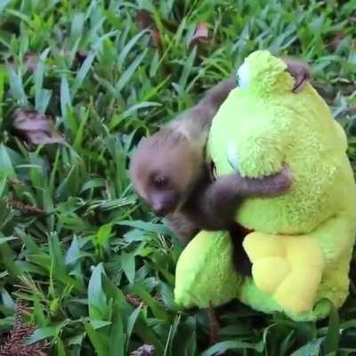 PoIsOnOuS FrOg BoDySlAmS SlOtH iNtO tHe GrOuNd