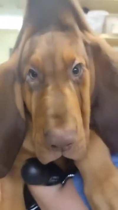 The shock in his eyes