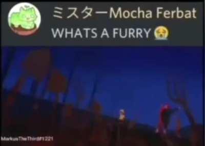 That's a furry