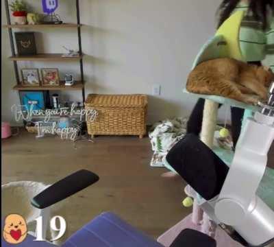 Love seeing Janet in leggings ❤️