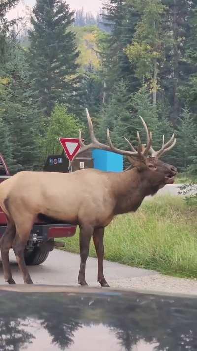 How to not get a girl