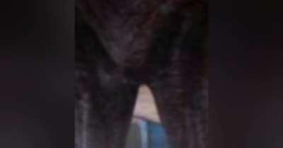 *Incoming poorly cropped shit post*. came across this sound and thought about how much it applies to dark ones.