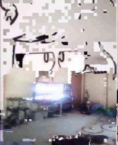 catgirls dont make tendies like mommy does