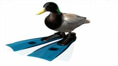 mivel több Tibiatyát láttam ezen a Subon mint kellet volna (több mint 0) emiatt vissza kell hoznunk szeretett kacsánkat, habár János nincs fent a hegyen, Afrikába még elmehetünk szerencsét próbáltatni, Dícsértessék!