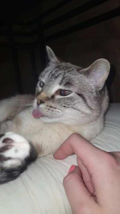 This Happens Every Time She Sneezes