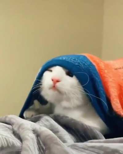 When your alarm didn’t ring & you realize you overslept