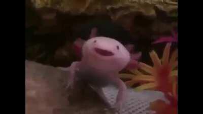 Dragonspyre's Music is so overdramatic, I adore it.