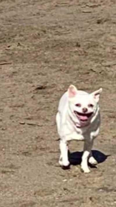 Blursed zoom in on pic