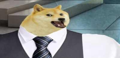 Le Mets have arrived