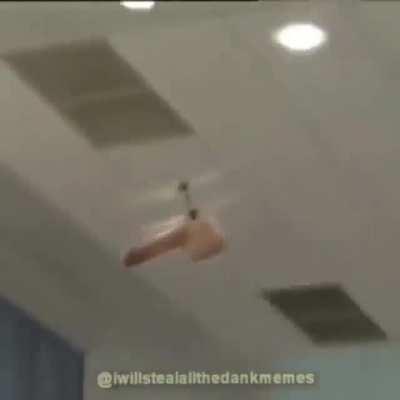 ‎‎‎‎‎‎‎‎‎‎