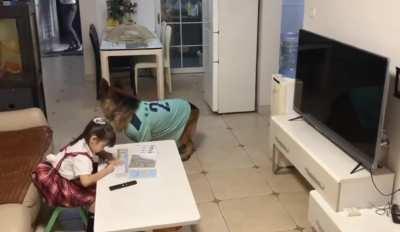 Pa(w)rtners in crime!!