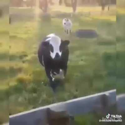 sem ideia para o título