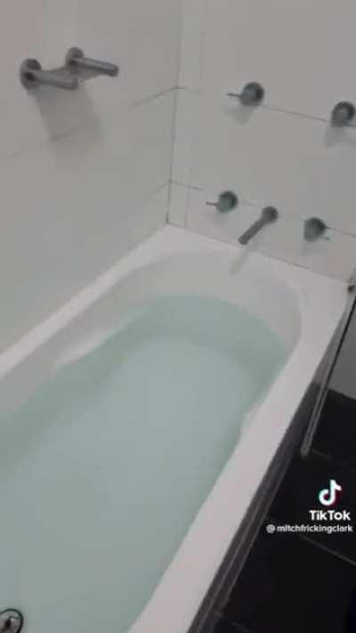 The hope has died 💀