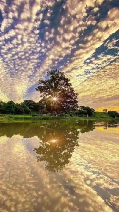 The view as the sun goes down,it's so beautiful.