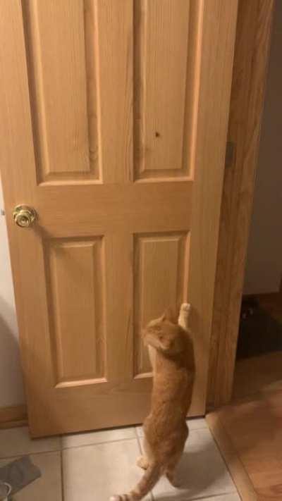 Paul didn’t really commit but still complained.