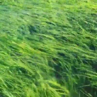 High tide in Connecticut