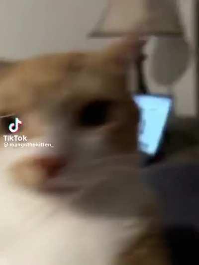 this is the last straw im on my fucking limit