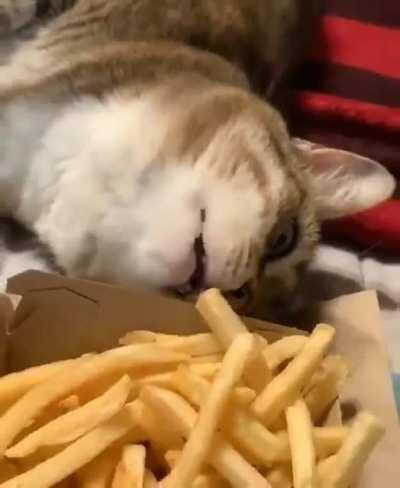 I was just checking them.