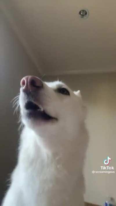 So you need some water?