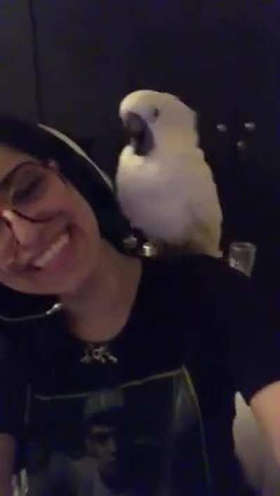 Casper hates my headphones because they take my attention away from him (: