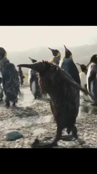 Buenos dias para todos! Menos pa los seguidores del kakas alv!