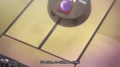 funniest shit i've ever seen