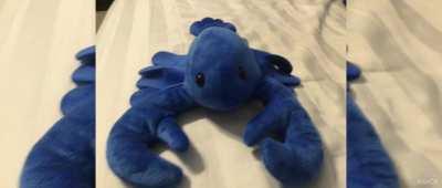 Blue lobster ( audio )