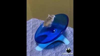 Saw this in r/funny , had to fix it. Credits to u/chiethu