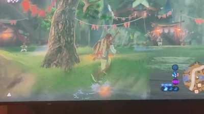 I present to you… Link and the Magic Chicken!